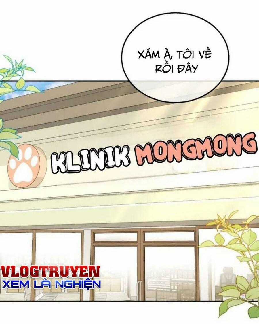 Xin Chào! Bác Sĩ Thú Y - Chapter 21 - Trang 1