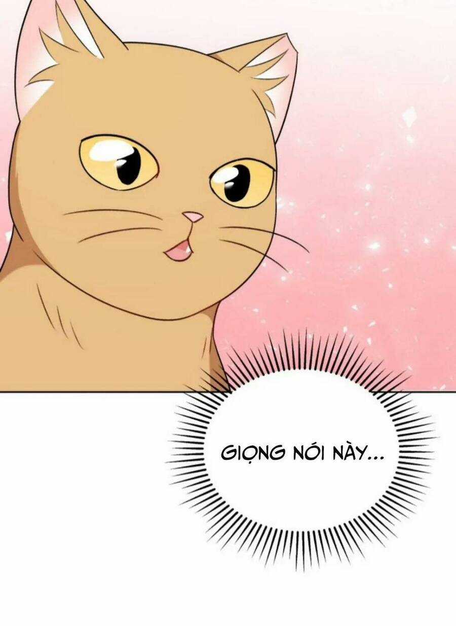 Xin Chào! Bác Sĩ Thú Y - Chapter 21 - Trang 45