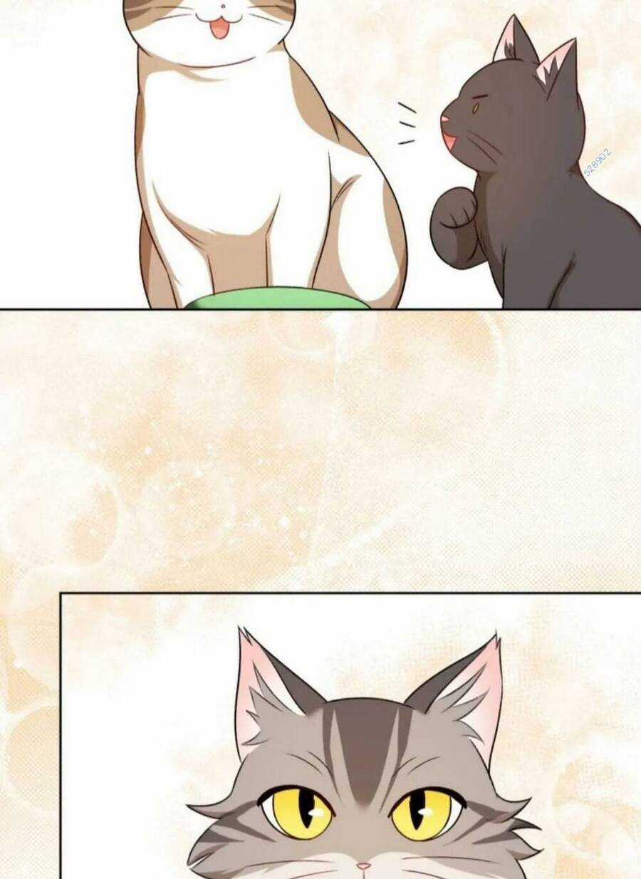 Xin Chào! Bác Sĩ Thú Y - Chapter 21 - Trang 68