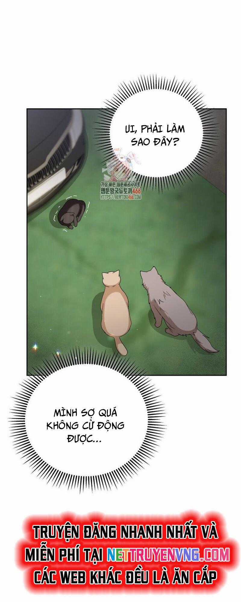 Xin Chào! Bác Sĩ Thú Y - Chapter 77 - Trang 2