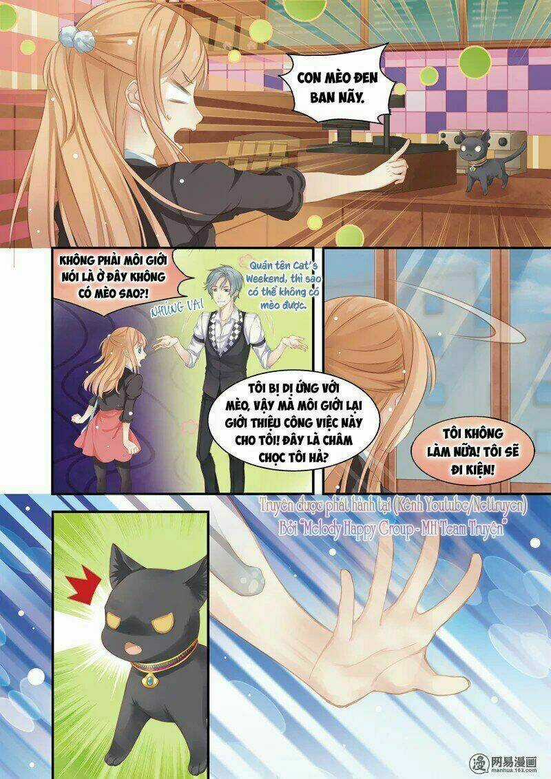 Xin Chào! Coffee Cat's - Chapter 1 - Trang 8