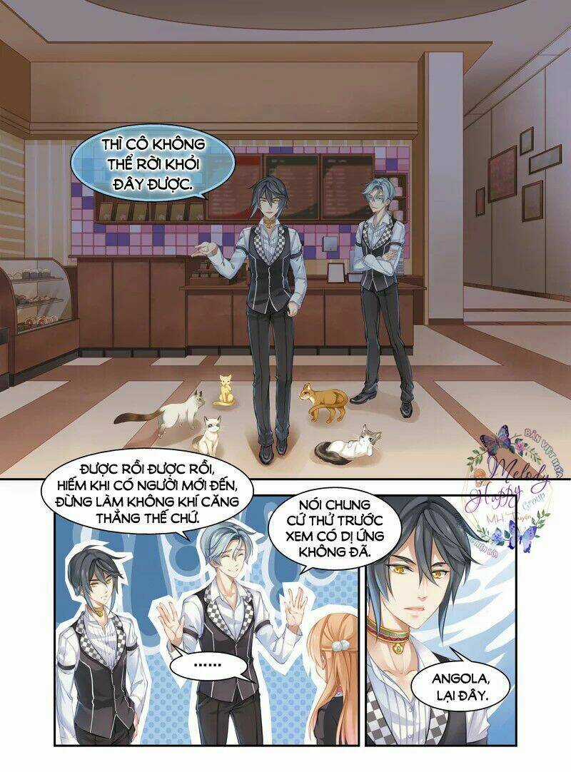 Xin Chào! Coffee Cat's - Chapter 2 - Trang 4