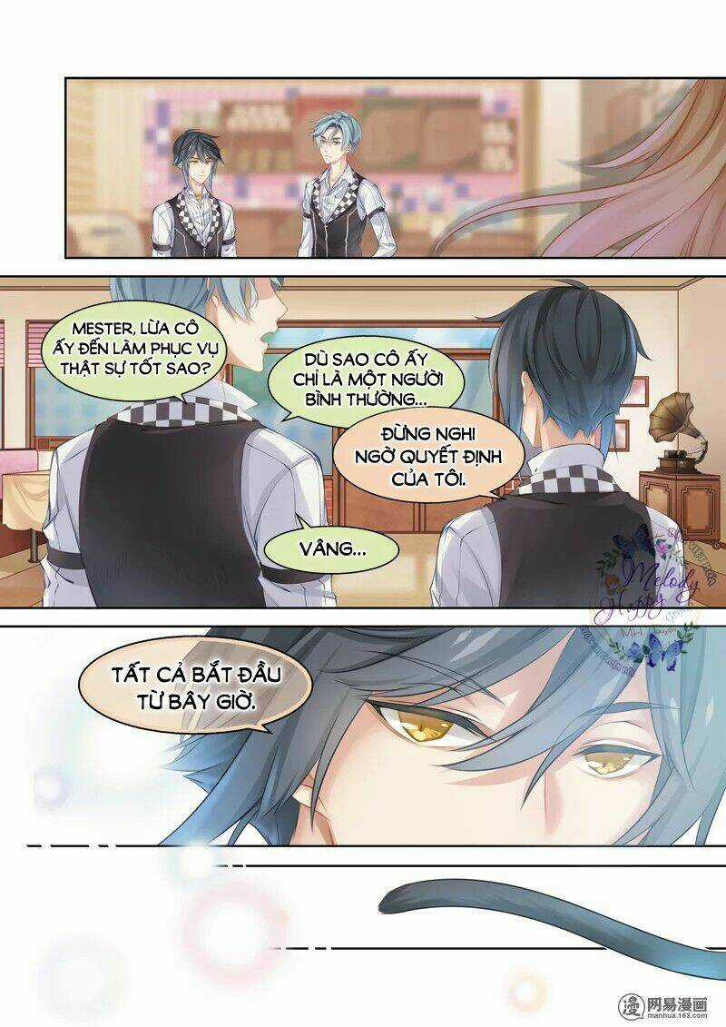 Xin Chào! Coffee Cat's - Chapter 2 - Trang 8