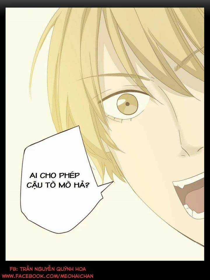 Xin Chào! Dân Nữ - Chapter 26 - Trang 17