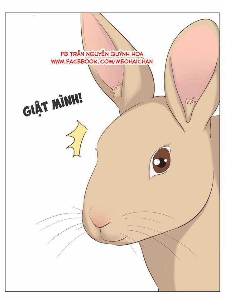 Xin Chào! Dân Nữ - Chapter 29 - Trang 54