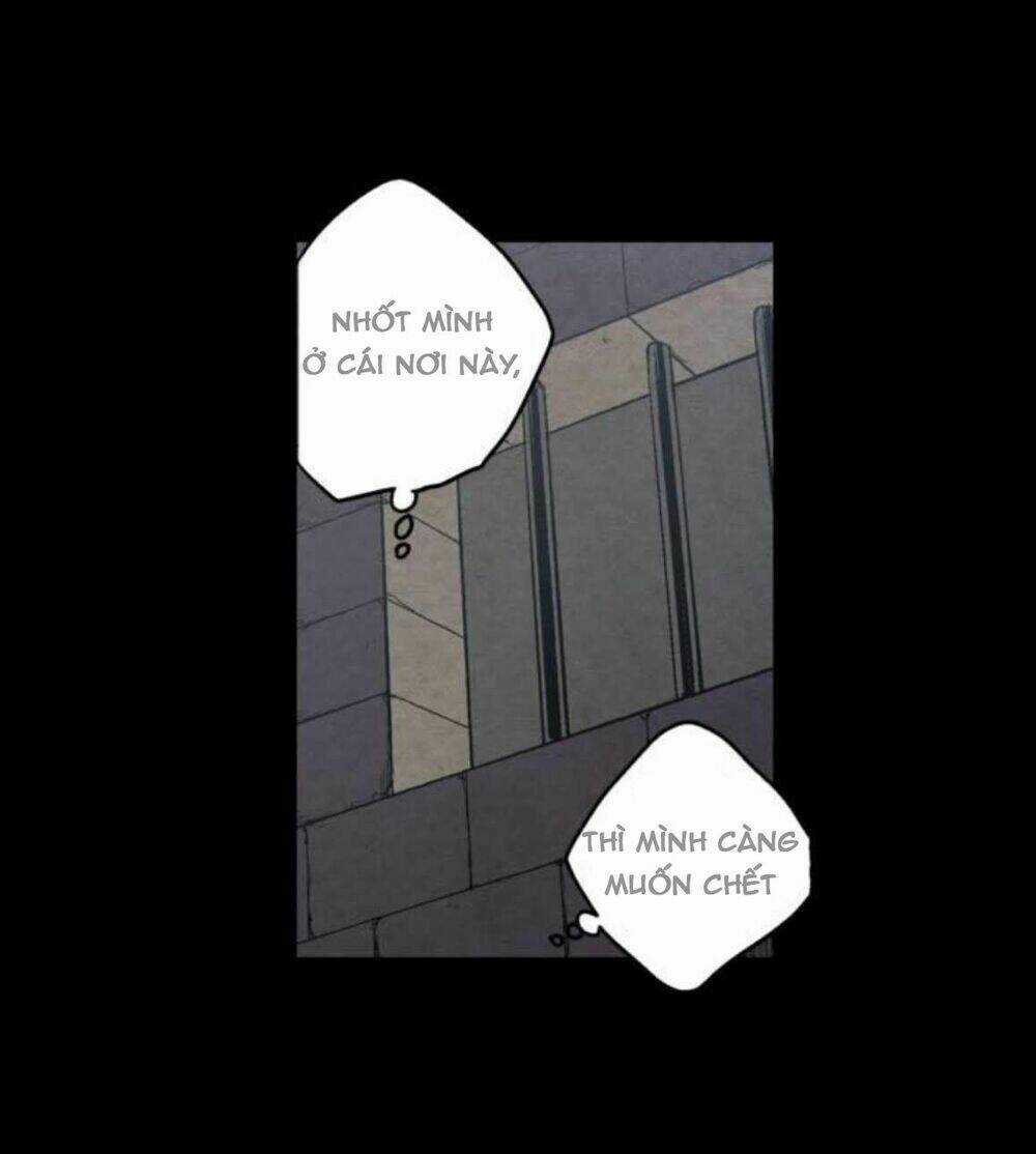 Xin Đừng Cắn Em - Chapter 31 - Trang 12