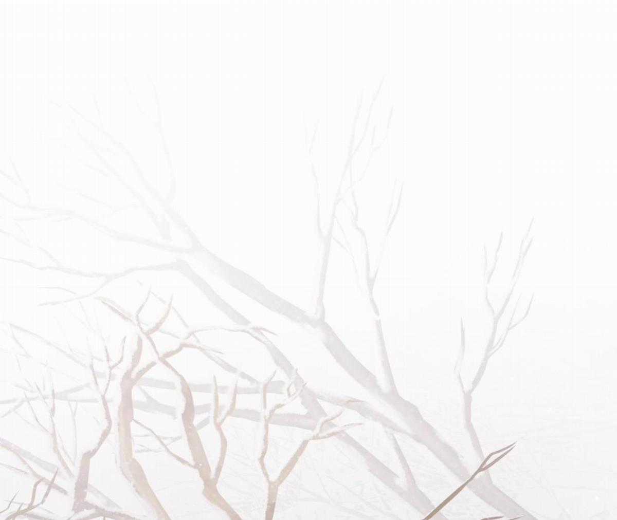 Xin Được Chỉ Giáo - Chapter 7 - Trang 23