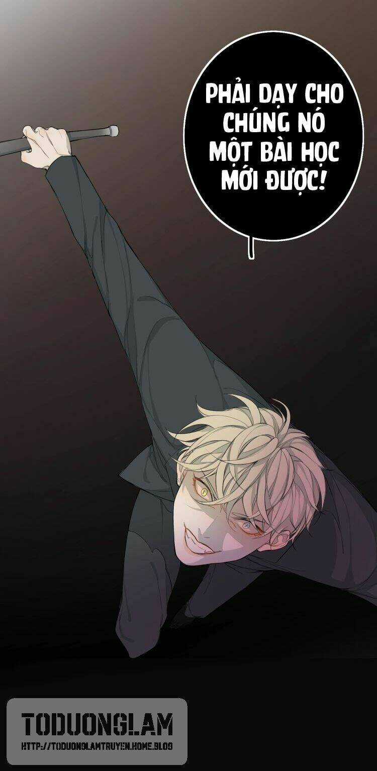 Xúc Bất Khả Cập - Chapter 1 - Trang 12