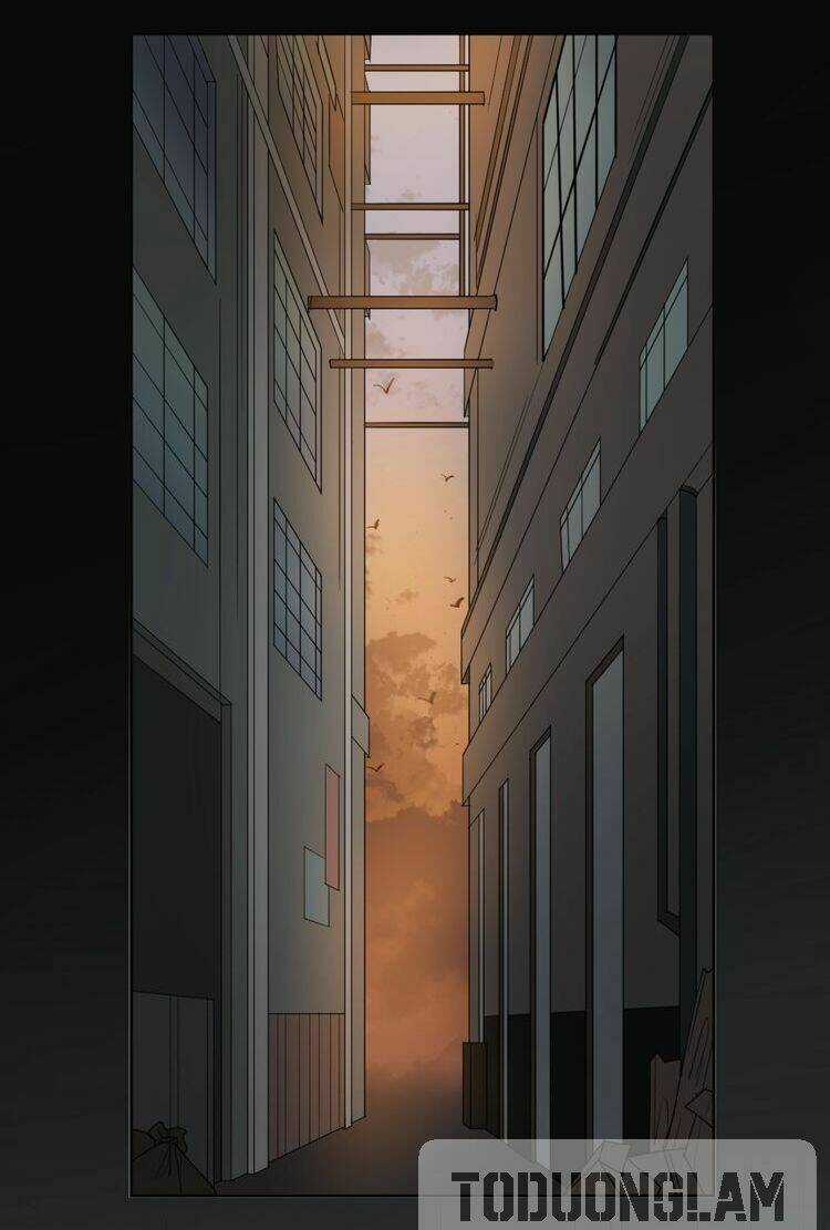 Xúc Bất Khả Cập - Chapter 1 - Trang 13