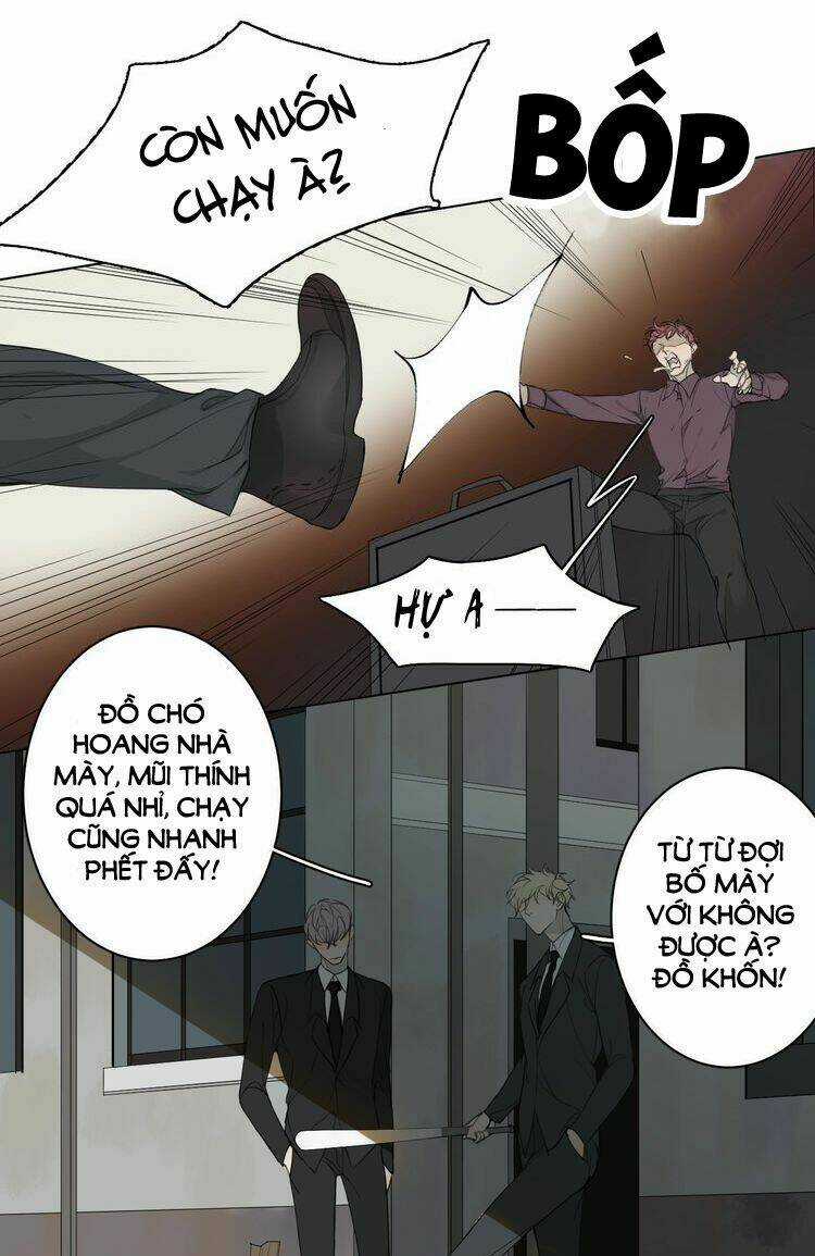 Xúc Bất Khả Cập - Chapter 1 - Trang 3