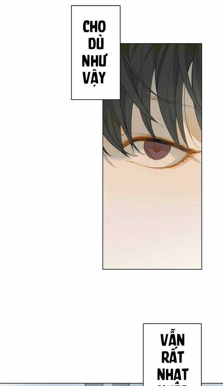 Xúc Bất Khả Cập - Chapter 1 - Trang 36