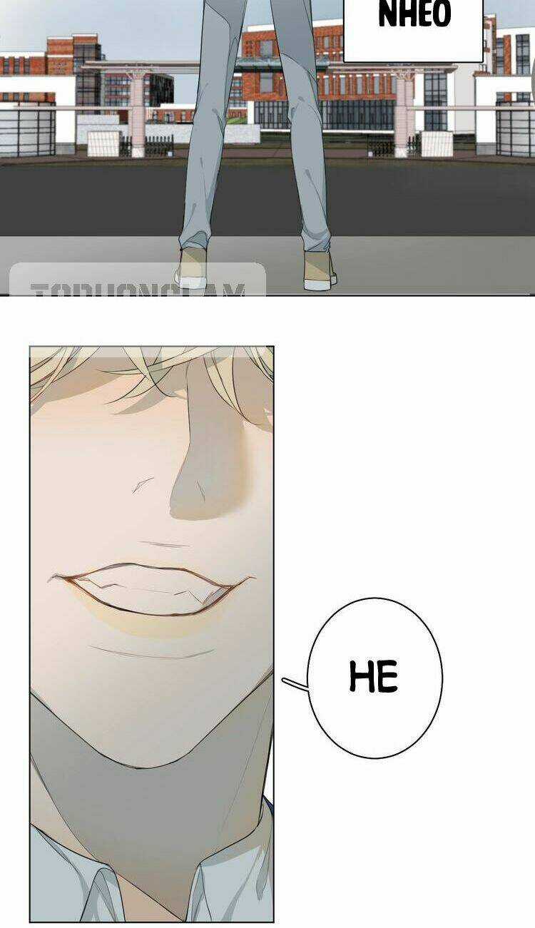 Xúc Bất Khả Cập - Chapter 1 - Trang 37