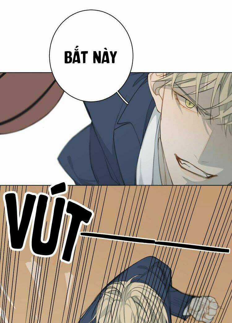 Xúc Bất Khả Cập - Chapter 2 - Trang 27