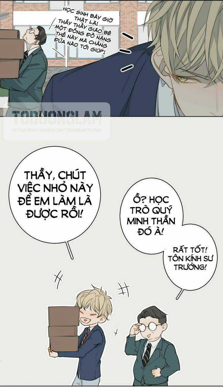 Xúc Bất Khả Cập - Chapter 2 - Trang 31