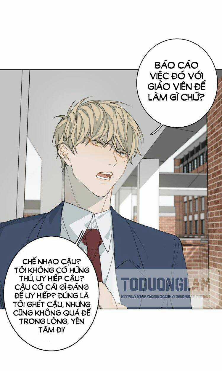 Xúc Bất Khả Cập - Chapter 4 - Trang 21