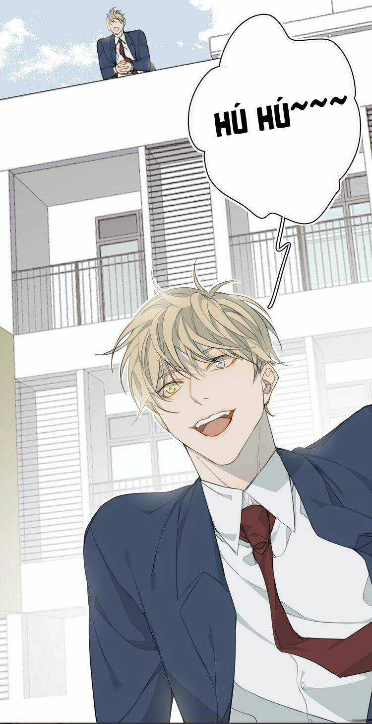 Xúc Bất Khả Cập - Chapter 4 - Trang 31