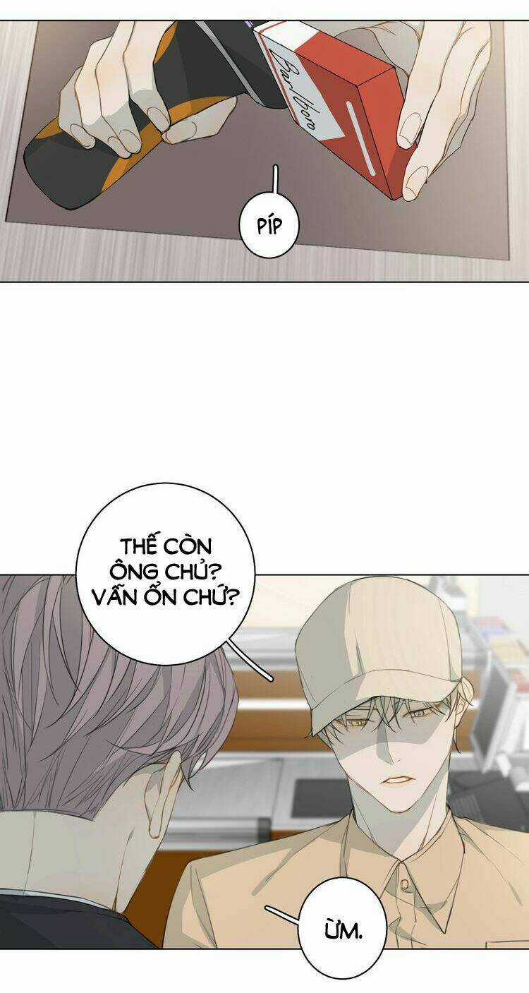 Xúc Bất Khả Cập - Chapter 5 - Trang 13