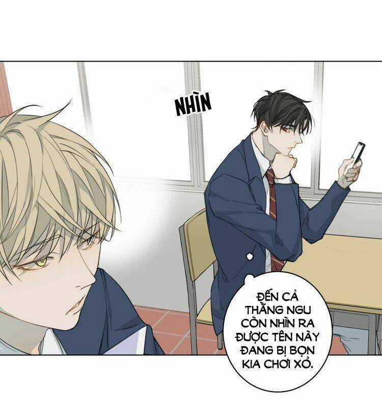 Xúc Bất Khả Cập - Chapter 5 - Trang 21