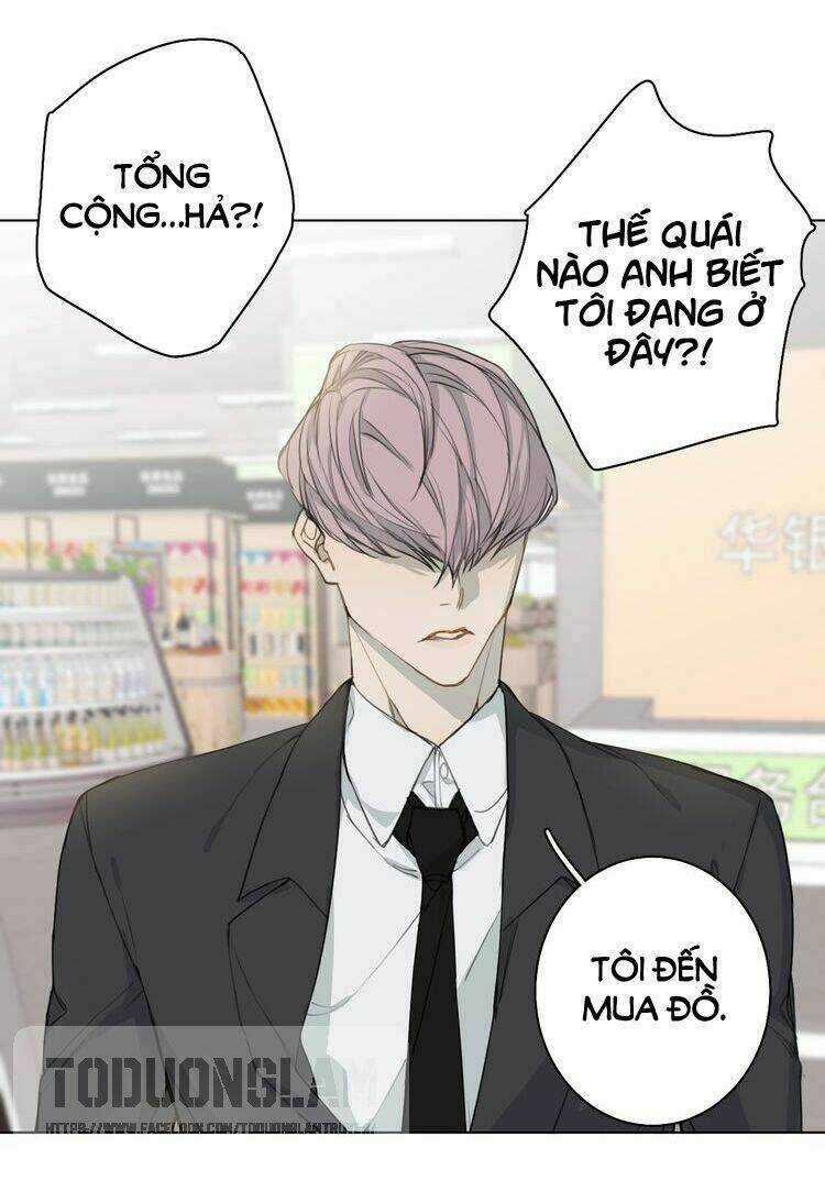 Xúc Bất Khả Cập - Chapter 5 - Trang 8