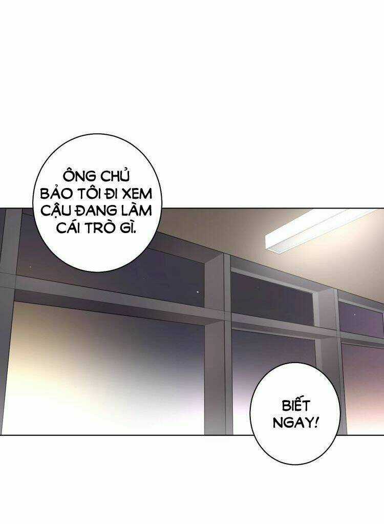 Xúc Bất Khả Cập - Chapter 5 - Trang 10