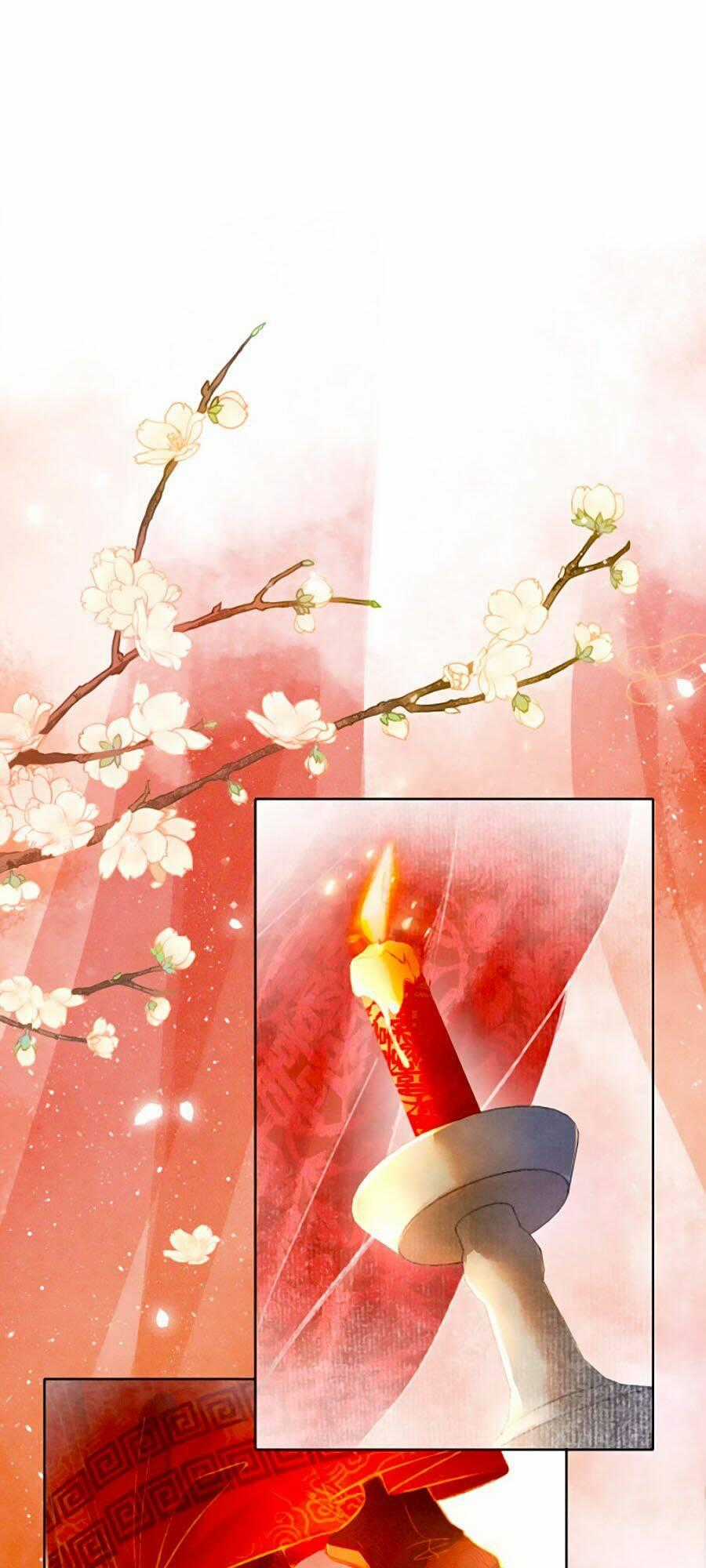 Xung Hỉ Vương Phi - Chapter 1 - Trang 1