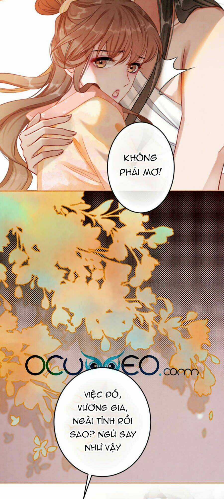 Xung Hỉ Vương Phi - Chapter 17 - Trang 28