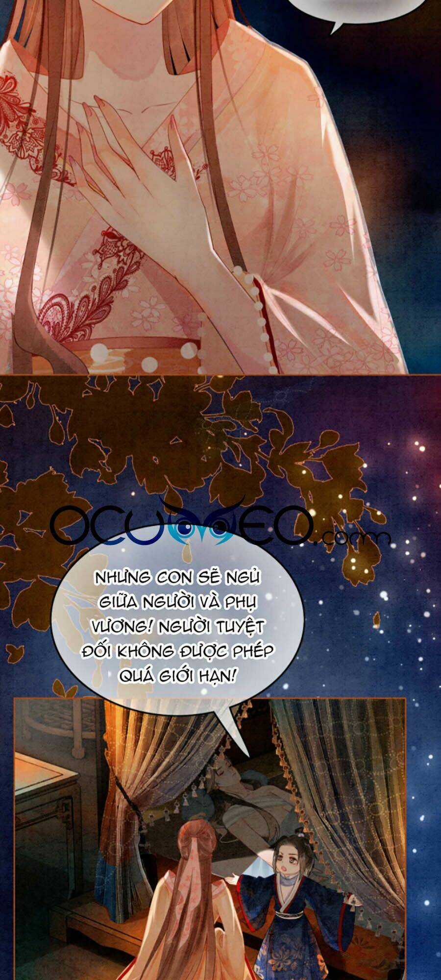 Xung Hỉ Vương Phi - Chapter 17 - Trang 4