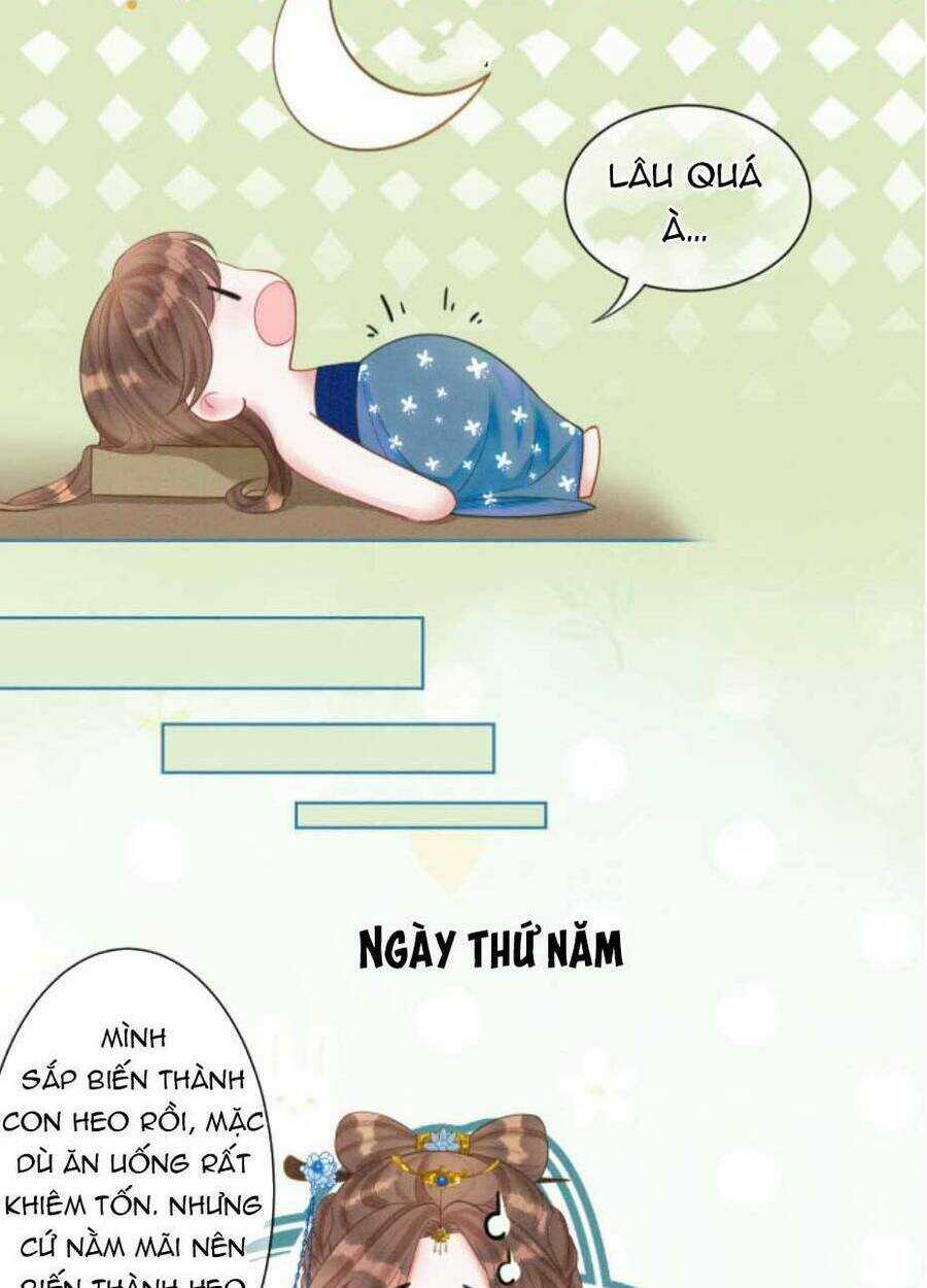 Xung Hỉ Vương Phi - Chapter 48 - Trang 16