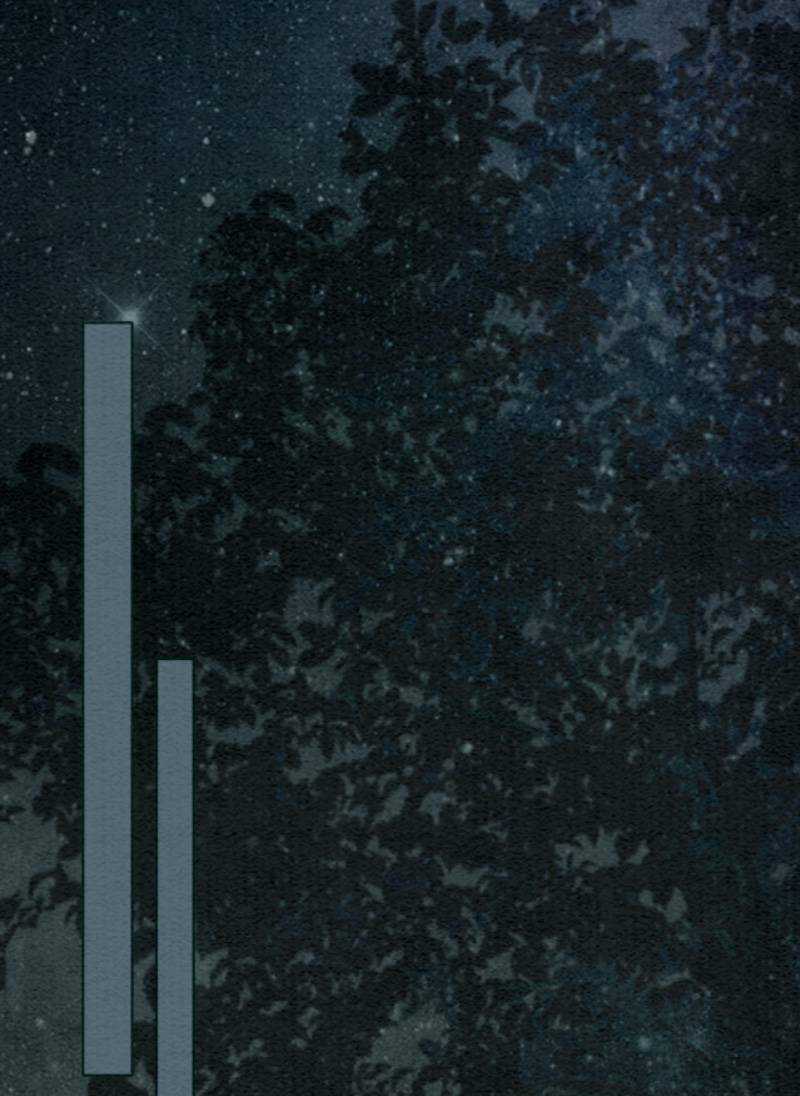 Xung Hỉ Vương Phi - Chapter 54 - Trang 13