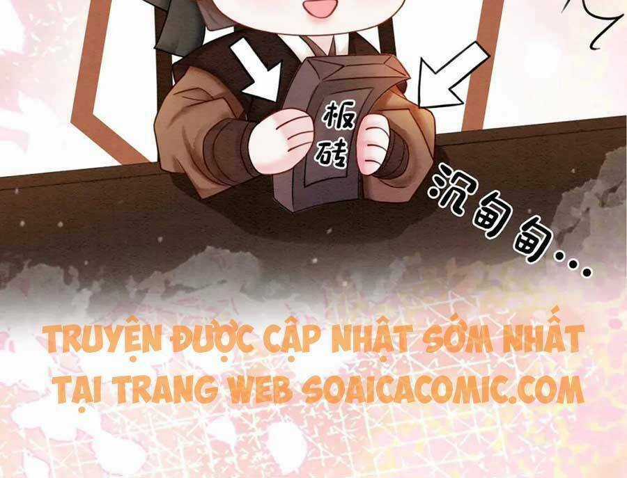 Xung Hỉ Vương Phi - Chapter 64 - Trang 9