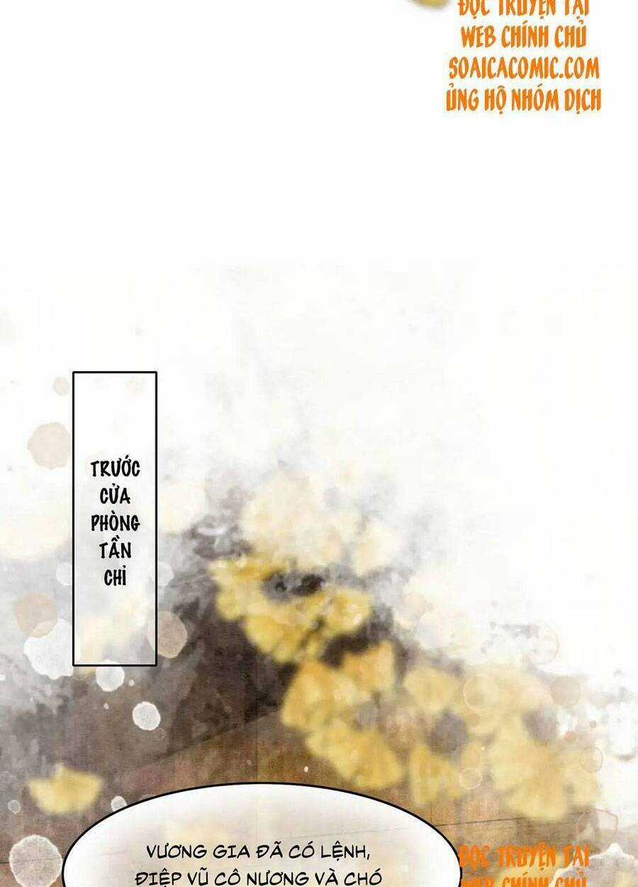 Xung Hỉ Vương Phi - Chapter 69 - Trang 34