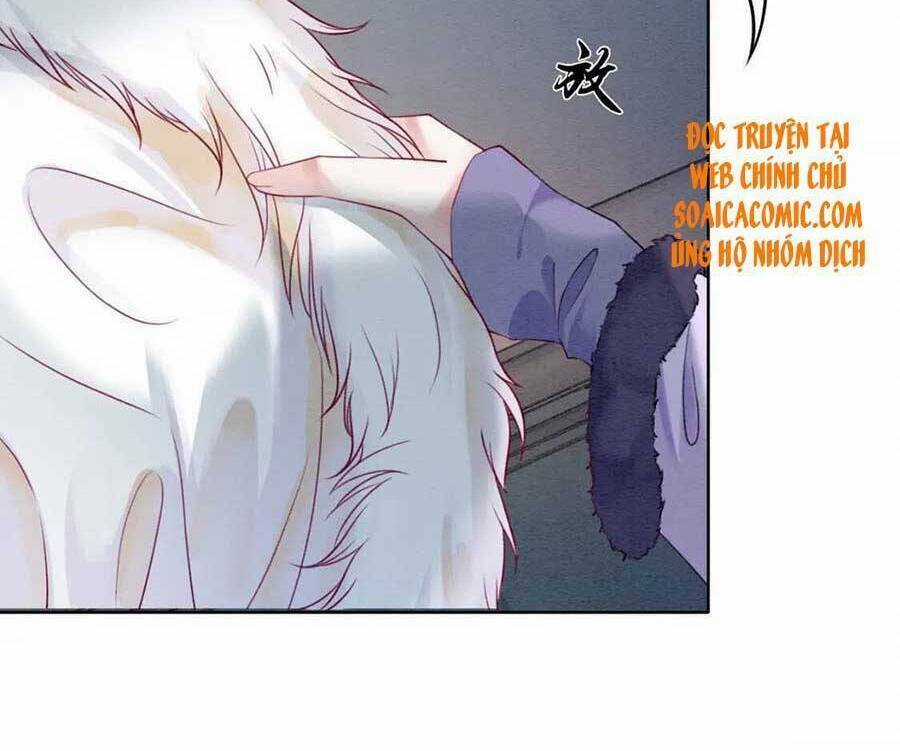 Xung Hỉ Vương Phi - Chapter 77 - Trang 49