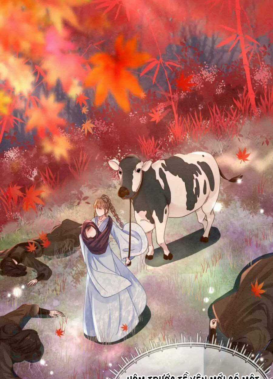 Xung Hỉ Vương Phi - Chapter 99 - Trang 10