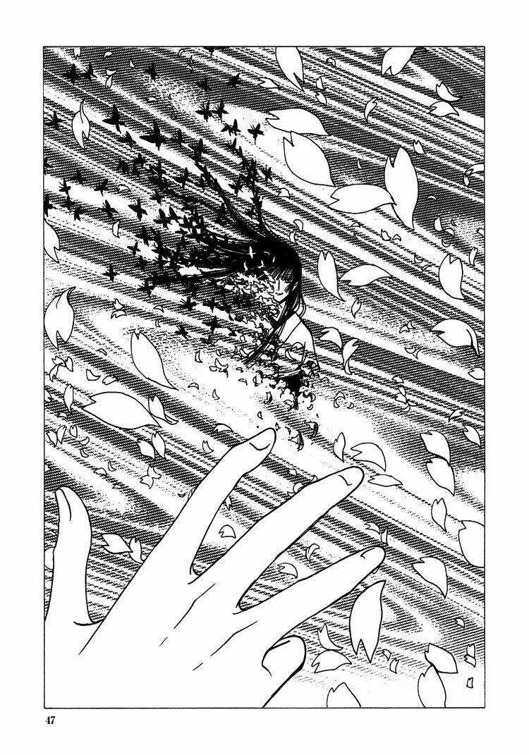 Xxxholic - Chapter 174 - Trang 4