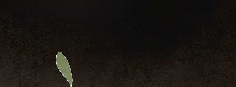 Ý Chí Dũng Sĩ 2 - Chapter 6 - Trang 43