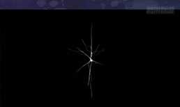 Ý Chí Dũng Sĩ - Chapter 10 - Trang 9