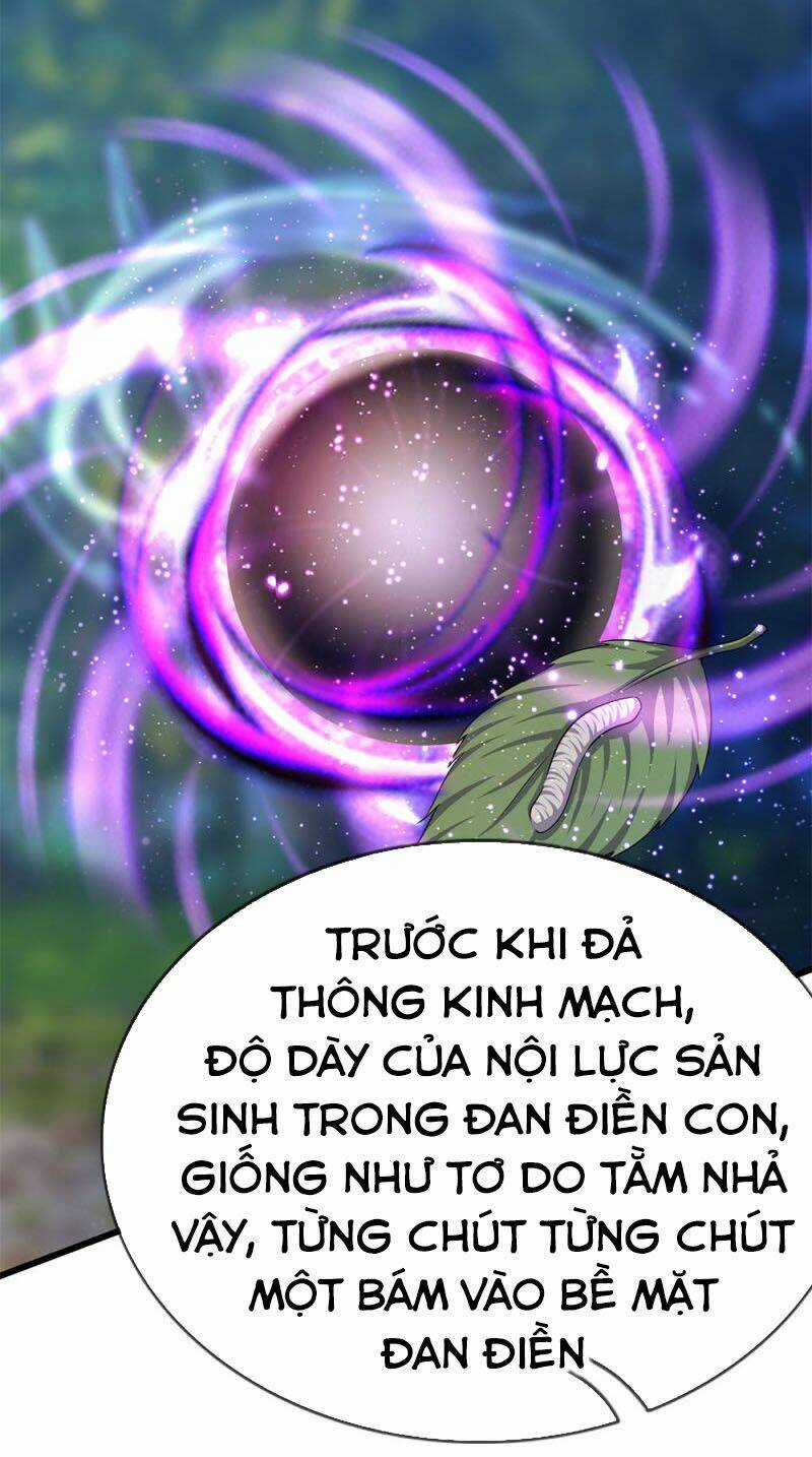 Y Võ Chí Tôn - Chapter 233 - Trang 5