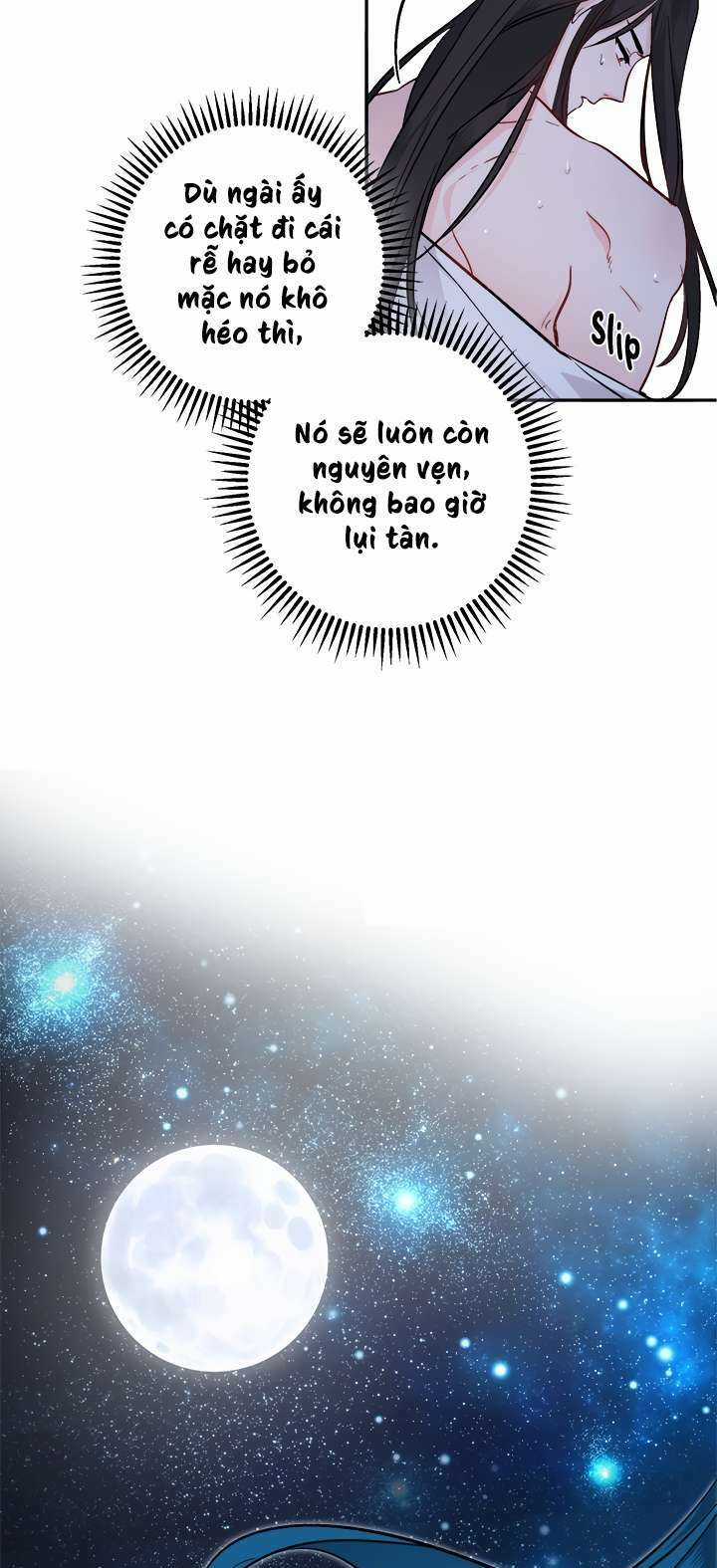 Yeon Lok Heun - Chapter 63 - Trang 34