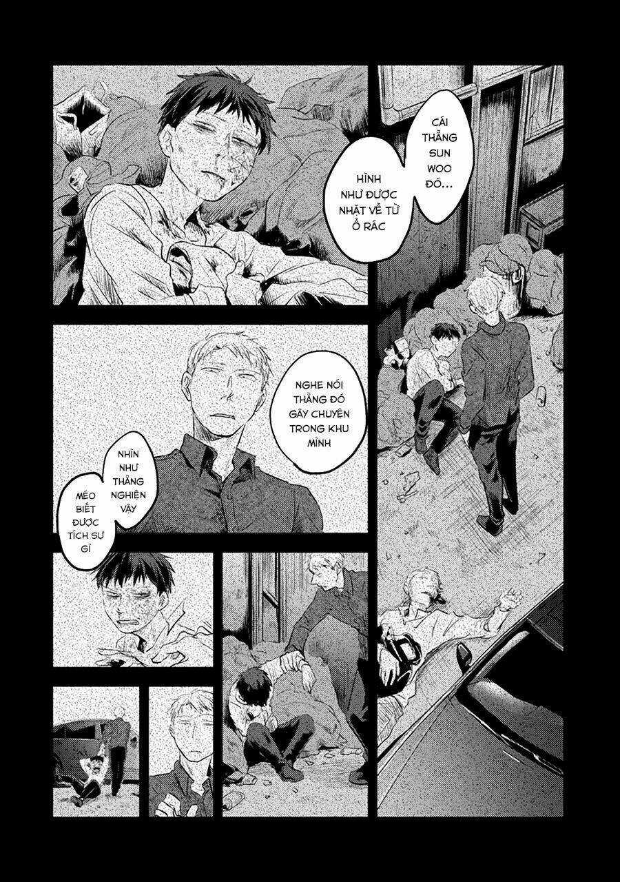 Yêu Hận Tình Thù - Chapter 14 - Trang 11