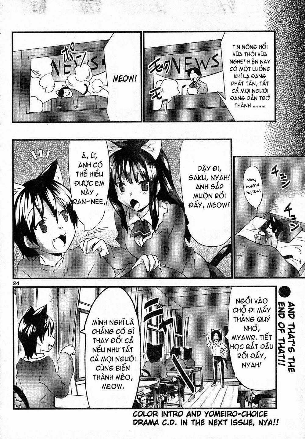 Yomeiro Choice - Chapter 27 - Trang 24