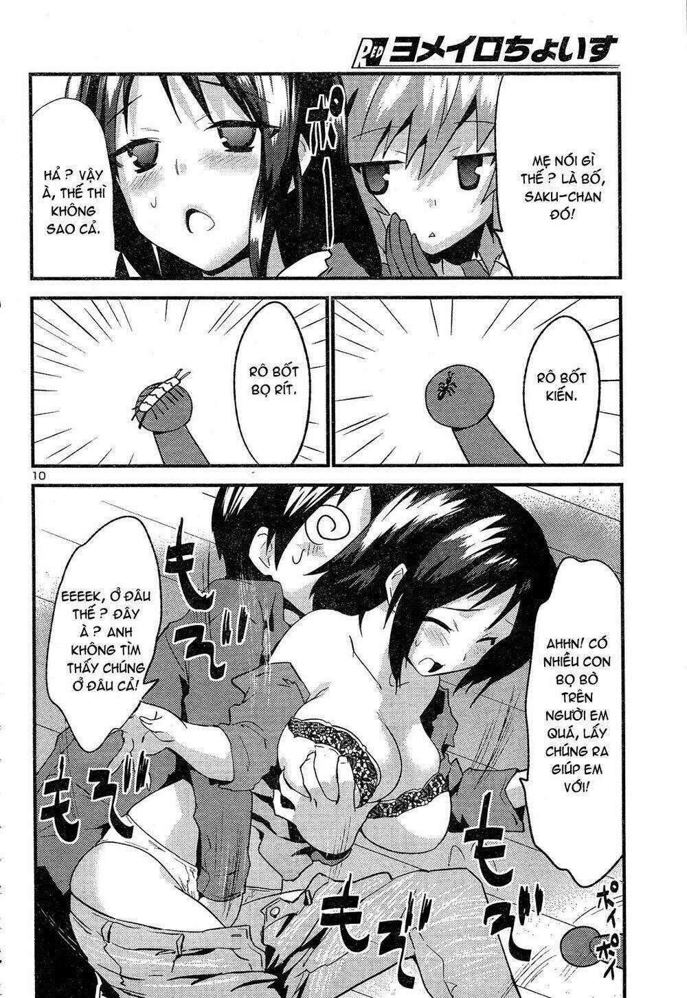 Yomeiro Choice - Chapter 36 - Trang 12