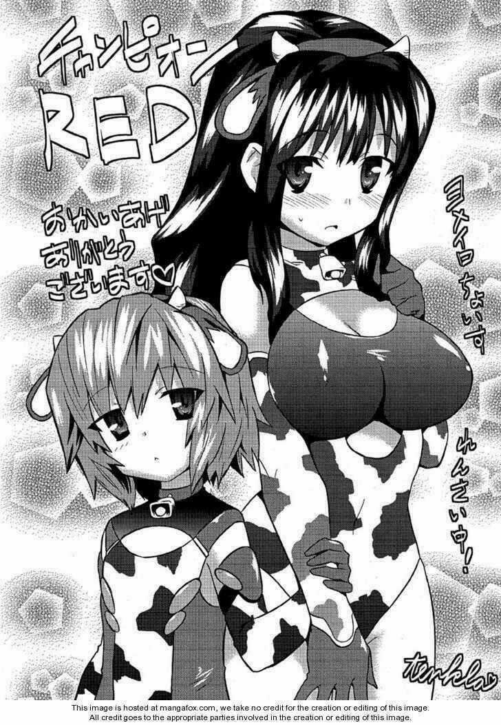 Yomeiro Choice - Chapter 7 - Trang 30