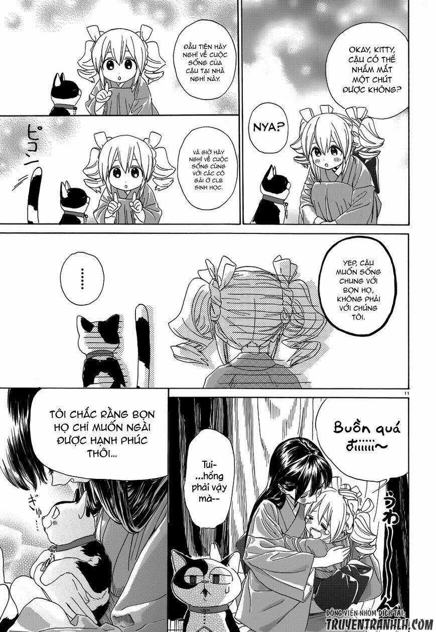 Yumekuri - Chapter 33 - Trang 13