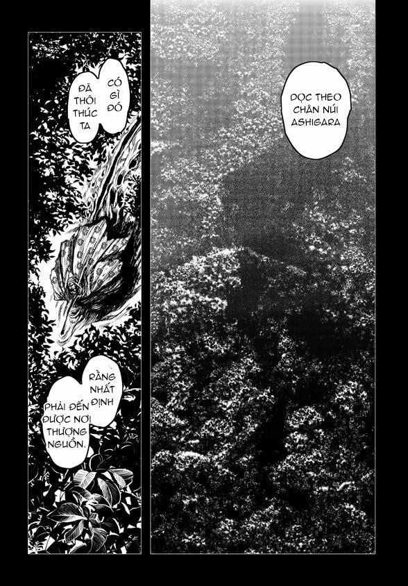 Zingnize - Chapter 21 - Trang 19