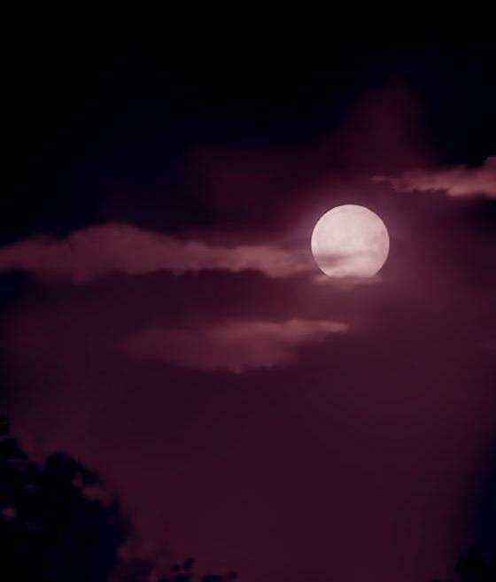 Zusun - Chapter 9 - Trang 43